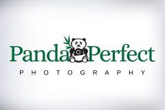 GGDS_Logo_PandaPerfect